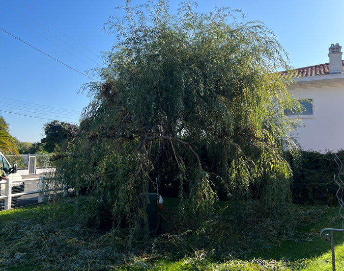 Entretien espace vert à Biarritz