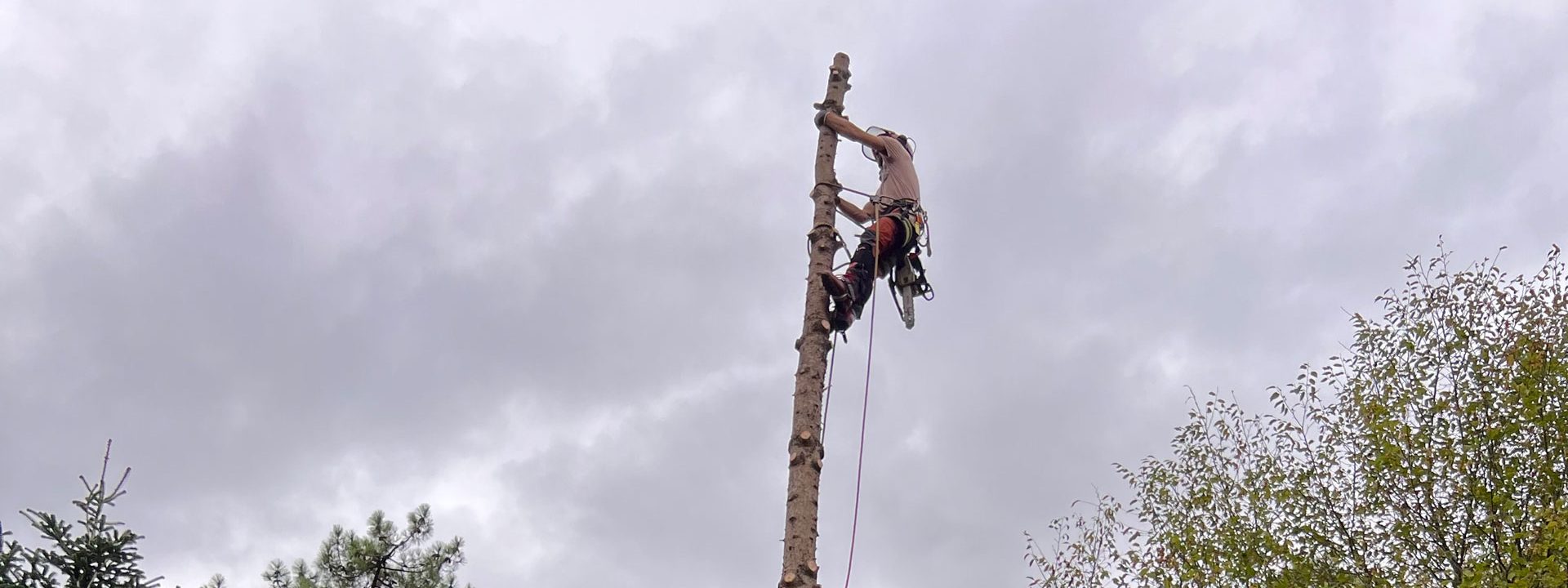 Jardinier à Saint-Jean-de-Luz