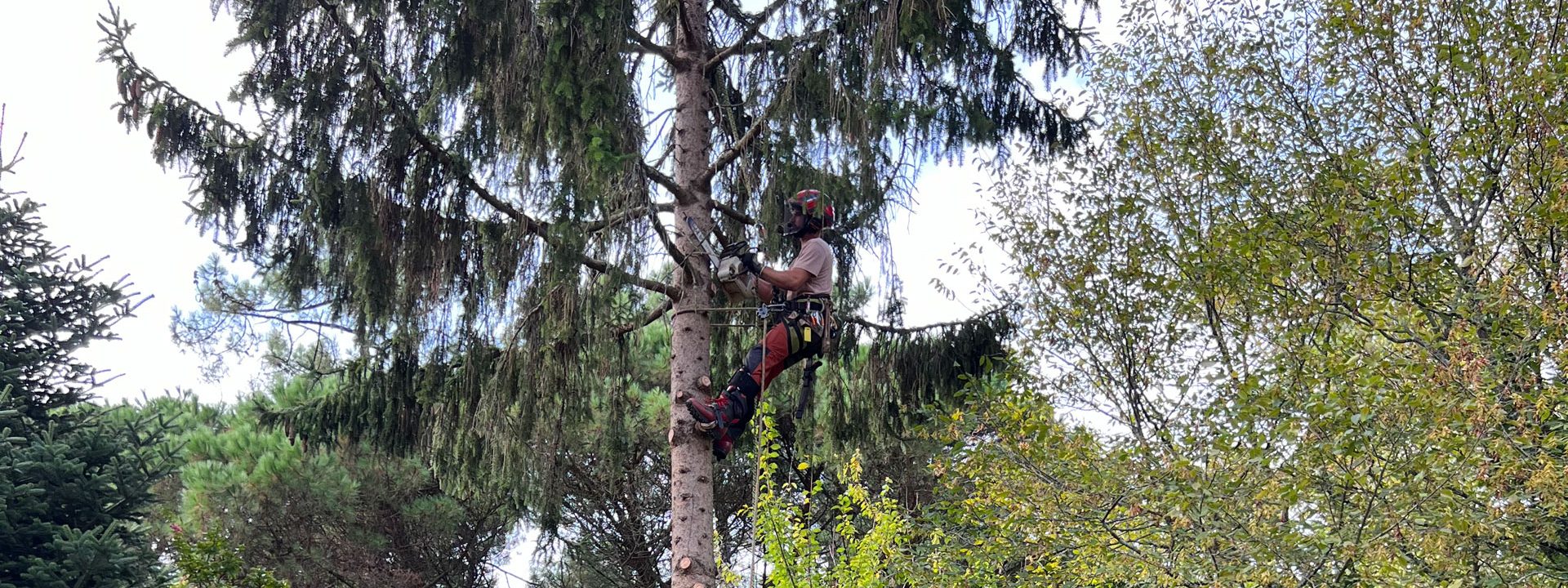 Jardinier à Bayonne