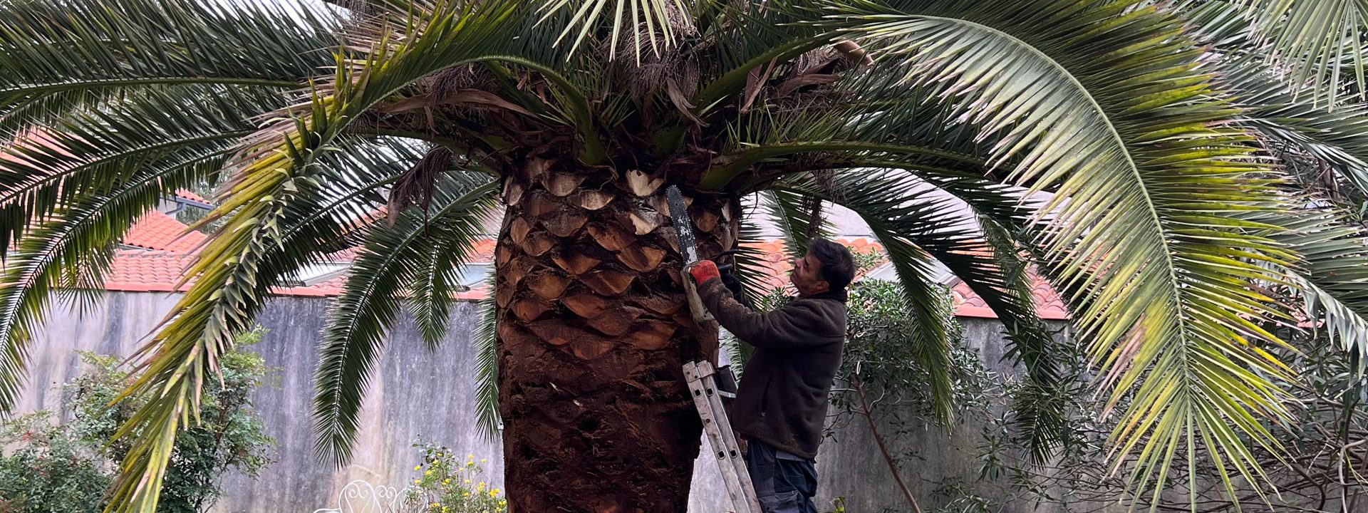 Paysagiste à Anglet
